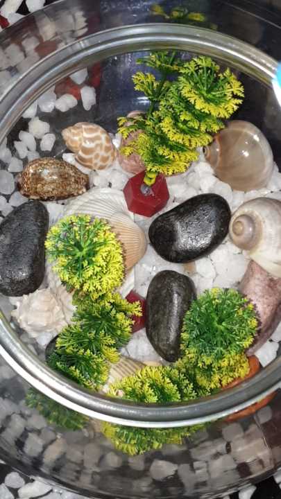 Fishes%20Tank%20Aquatic%20Aquarium%20Home%20Decorative%20Fish%20Bowls%20Table(Large%20Size)%20-%20Image%207