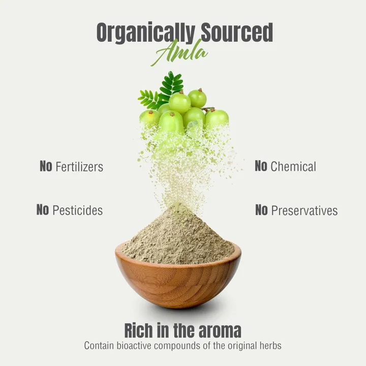 Amla Powder – Phyllanthus emblica – Supports Immune System – Non GMO ...