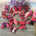 5Pcs Colorful Butterfly Hair Clips Parrty Dressing Accessories. 