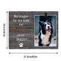 Dog Memorial Picture Frame Wooden Dog Picture Frame Pet Collar Memorial Sympathy Gifts Home Decoration For A Grieving Friend. 