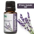 Water-Soluble Lavender Oil for Humidifier Aromatherapy Oil for Diffuser | Water Soluble Essential Oils Air Freshening. 
