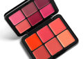 12 color Ultra HD Invisible Cover Cream Blush Palette. 