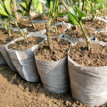 100Pcs Nursery Bag Good Nutrient Absorb Ability Permeability Non-woven Plants Grow Pouch for Home. 
