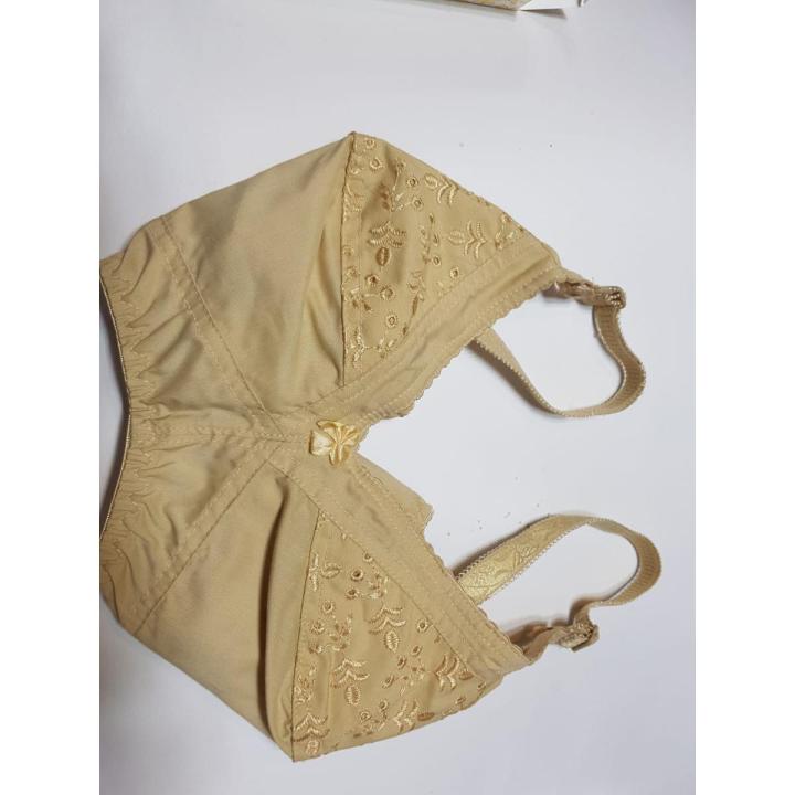 Classic Cotton Fashion Bras for Women Blouse Brazier Brassier Undergarments and Non wired Cotton Brazzer Brassiere For Summer with Chikan Embroidery