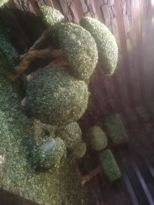 Artificial%20Wall%20Grass%20Block%20/%20Artificial%20grass%20mat%20/%20Artificial%20boxwood%20hedge%20grass%20mat%20/%20wall%20decor%20/%20wall%20grass%20/%20wallpaper%20/%20home%20design%20-%20Image%2010