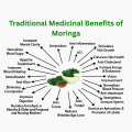 Moringa Capsules 120cap - 500mg Moringa Oleifera Capsules , Tablets , Pills , Weight Loss , Healthy Life | Pure, Organic, Superfood | Boost Immunity, Energy & Nutrition, Multivitamins | Non-GMO. 