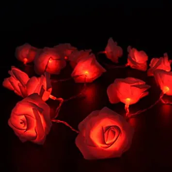 Mini%20Golden%20Flowers%20Fairy%20Light%20For%20Home%20&%20Room%20&%20For%20Anniversary%20&%20Birthday%20Decoration%20-%20Image%206