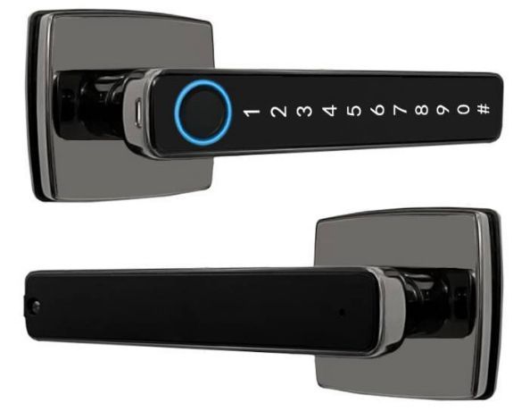 NewWave Digital Touchscreen Fingerprint Smart Door Lock For Home And Office Use NW-LK-101