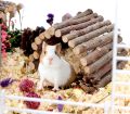Hamster Chew Toys, Hamster Activity Toys Accessories for Teeth Care,Natural Wood Toys for Hamster, Rabbits, Bunny, Gerbil. 
