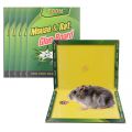 Green Treet – Mouse & Rat Glue Board. 