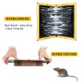 Mouse Glue Traps Sticky Boards. 
