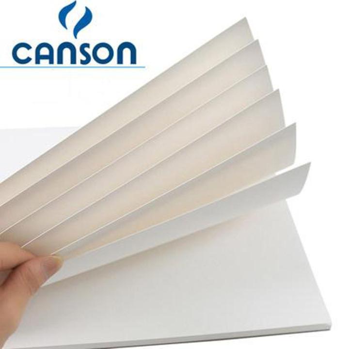 Canson Sheets ( pack Of 10 )