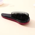 Portable Handle Hair Comb Anti Static Massage Hair Brush Detangle Shower Hairbrush Combs Salon Styling Tools For Women. 