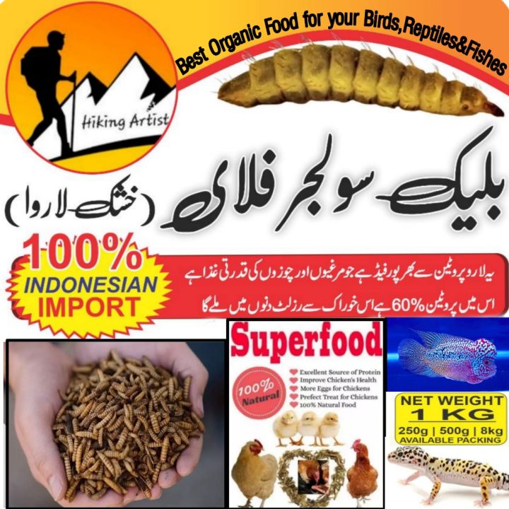 Black Soldier Flies Dried Larvae (1 Kg)  "Bsfl"