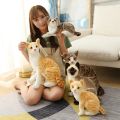 Realistic Cat Plush Toys American Shorthai Siamese Ragdoll Stuffed Doll Lifelike Animal Toy For Children Home Decor Baby Gift. 