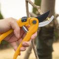 INGCO Pruning Shear 8 inch 200mm Garden Tool HPS0201. 