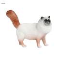 Realistic Cat Figurines Small Animals Figures Cat Model Ornaments for Landscape. 