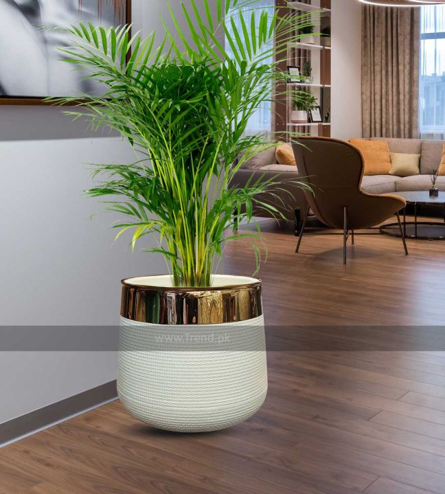 Plastic Planter, Olpe White Plant Pot with Golden Neck, White Plastic Flower Pot & Planter with Golden Border 2 sizes 5x5 and 9x10 inches