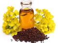 Organic Mustard Oil Pakistan || Cold Pressed Mustard Oil || Cooking Oil Daraz || Hair Care Oil || 100% Pure Mustard Oil || Natural Cooking Oil || Hair Growth Oil || Organic Oil for Hair || Best Cooking Oil Pakistan || Mustard Oil in 250ml,500ml and 1000ml. 