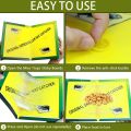 Pack of 2 - Mouse Trap Large Mouse Glue Pad Traps. 