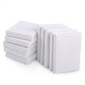10 Pack Mini Canvas Panels - 5pcs (6 x 6 ), 5pcs ( 8 x 8 )100% Small Cotton Stretched Canvas Boards for Painting.. 