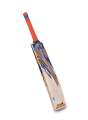 CA Plus 2000 Hard Ball Cricket Bat. 