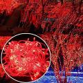 Led Fairy Light String for 12 RABI UL AWAL, Wedding, Home, Garden, Party, Wall, Decoration. 