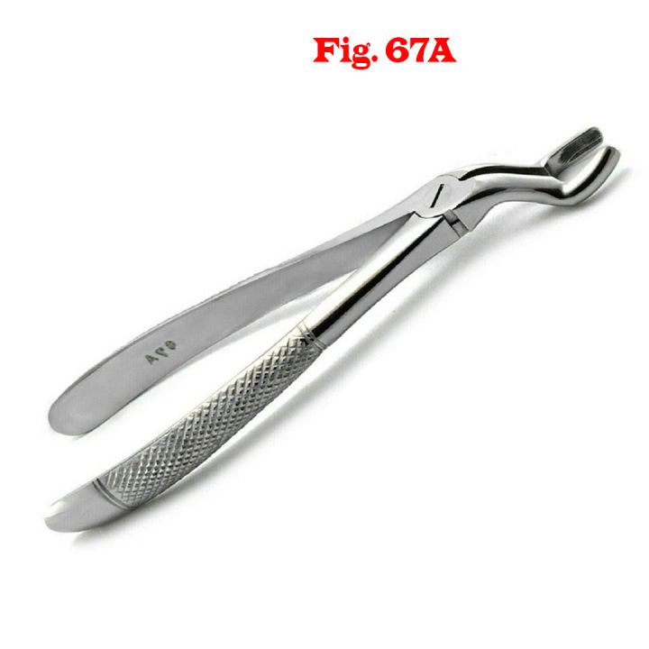 Premium%20High%20Quality%20Stainless%20Steel%20Dental%20Tooth%20Extracting%20Forceps%20Dentist%20Tools%20For%20Upper%20Molars%20Wisdom%20Extraction%20Pliers%20Fig.67A%20-%20Image%203