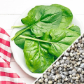 Spinach seeds (Palak k beej )(پالک کے بیج)Desi/Germinated/Best Quality/Fast growing/Excellent Germination/High Quality/Healthy Vegetable Seeds/Vegetable/Home/Kitchen/Gardening seeds/beej/Vegetables Seeds Packet. 