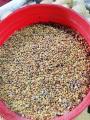 Meethi Dana Bareek (Fenugreek Seed) - 250 Grams. 