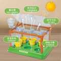 Mini Garden Scientific Plant Greenhouse Exploration  Educational Learning Toy for Kids. 
