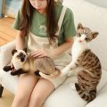 Realistic Cat Plush Toys American Shorthai Siamese Ragdoll Stuffed Doll Lifelike Animal Toy For Children Home Decor Baby Gift. 