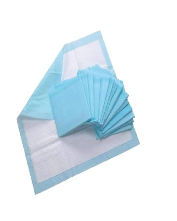 Underpad%20-%2040%20cm%20x%2060%20cm%20-%20Dignity%20Sheet%20Small%20Size%2020%20pcs%20Healthcare%20Dignity%20Sheets%20for%20adult%20and%20Diapering%20&%20Potty%20-%20SAP%20made%20in%20china%20-%20Image%202