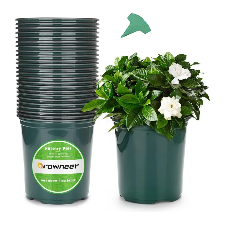 Pack%20of%2020%20plastic%20flower%20pots%20-%20Pots%20for%20seedling%20or%20flowers%20-%20Made%20with%20Soft%20Imported%20Plastic%20Material%20-%20Image%202