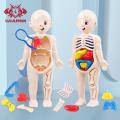 Lululemon Diy Human Organ Model Interactive Human Body Model Kit Educational Diy Toy with 11 Analysis Cards Ideal for Students Accessories Included Primary Secondary School Science Kit. 