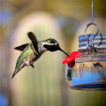 Outdoor Bird Water Feeders Birds Drinker for Wild Bird Garden. 
