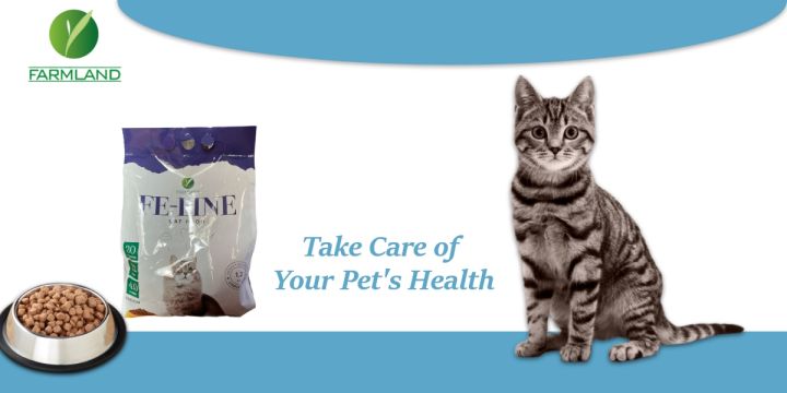 Feline%20Cat%20Food%20Pack%20Of%202%20(1.2Kg+1.2Kg)%20-%20Image%207