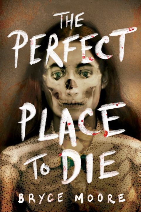 The Perfect Place to Die  Bryce Moore (Urdubazar Karachi)