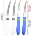 Stainless Steel Fruit Knife Set -  Pack of 04/08/12. 