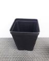 12 Pcs Big Succulent Cactus Seedling Pots 4 x 4.75inch. 