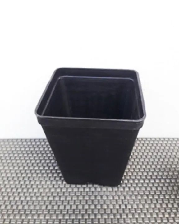 12%20Pcs%20Big%20Succulent%20Cactus%20Seedling%20Pots%204%20x%204.75inch%20-%20Image%203