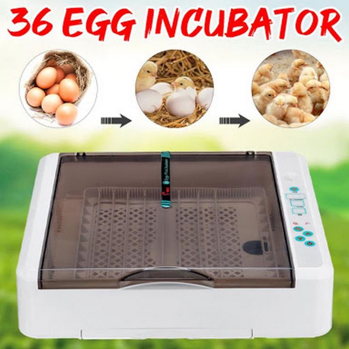 36 eggs incubator 360° rotating brand new automatic eggs hatching machine