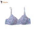 FairyShop Pack of 2 Soft Indian Blended Cotton Bra - HL2. 