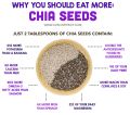 Chia Seeds (Raw Seeds) – Qtrove 200g. 