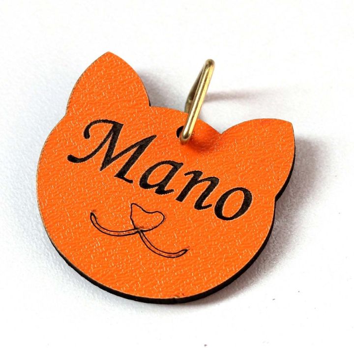 Cat%20Faced%20Tag%20Identification%20Tag%20Id%20in%20Pakistan%20-%20Image%205