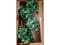 3Pcs Luxury Velvet Laser Cut Table Runner Mat Set. 