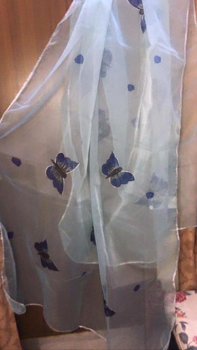 hand%20painted%20organza%20dupatta%20-%20Image%203