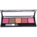 ADS 5 in 1 Fashion Blusher Palette Kit. 