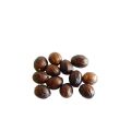 Nutmeg Whole - Mockernut - Jaiphal 50 Grams. 