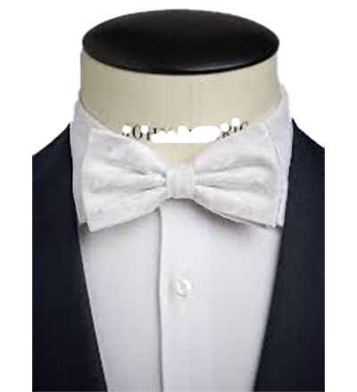 Imported%20Silk%20Bow%20Tie%20For%20Men's%20-%20Image%204